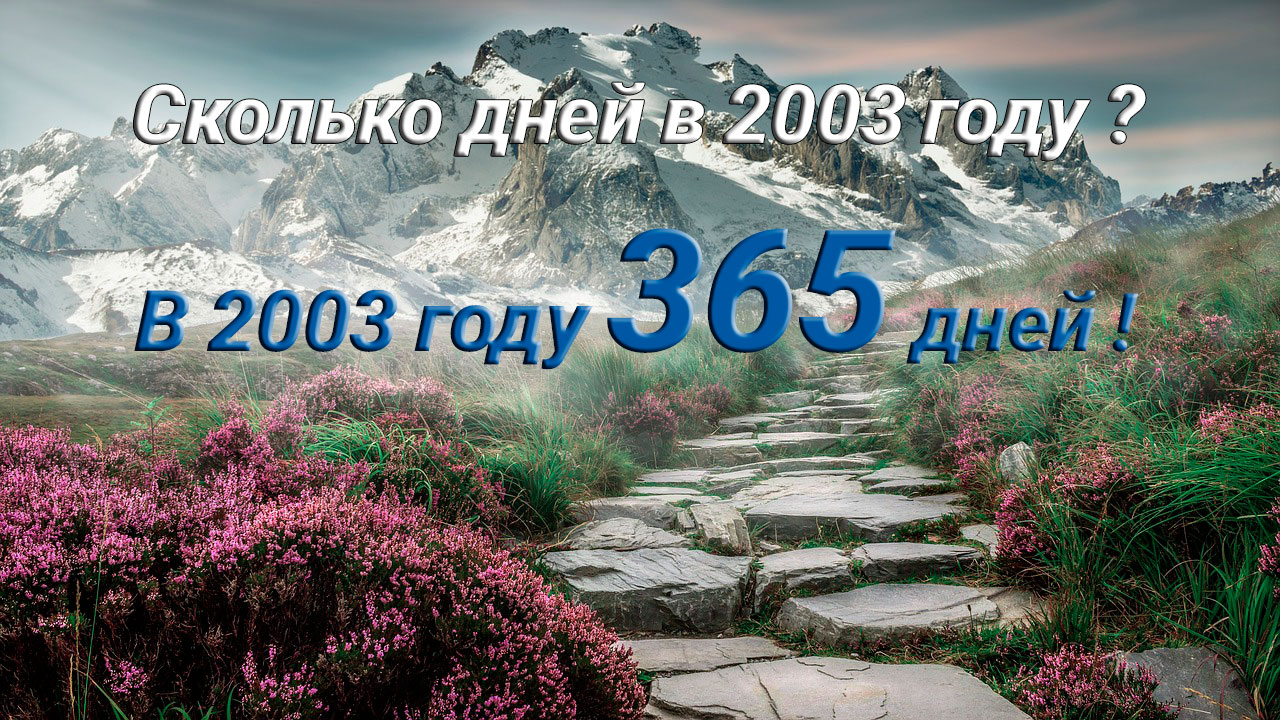 Сколько дней в 2003 году