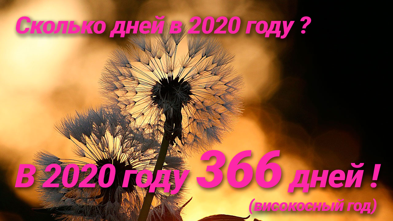 Сколько дней в 2020 году